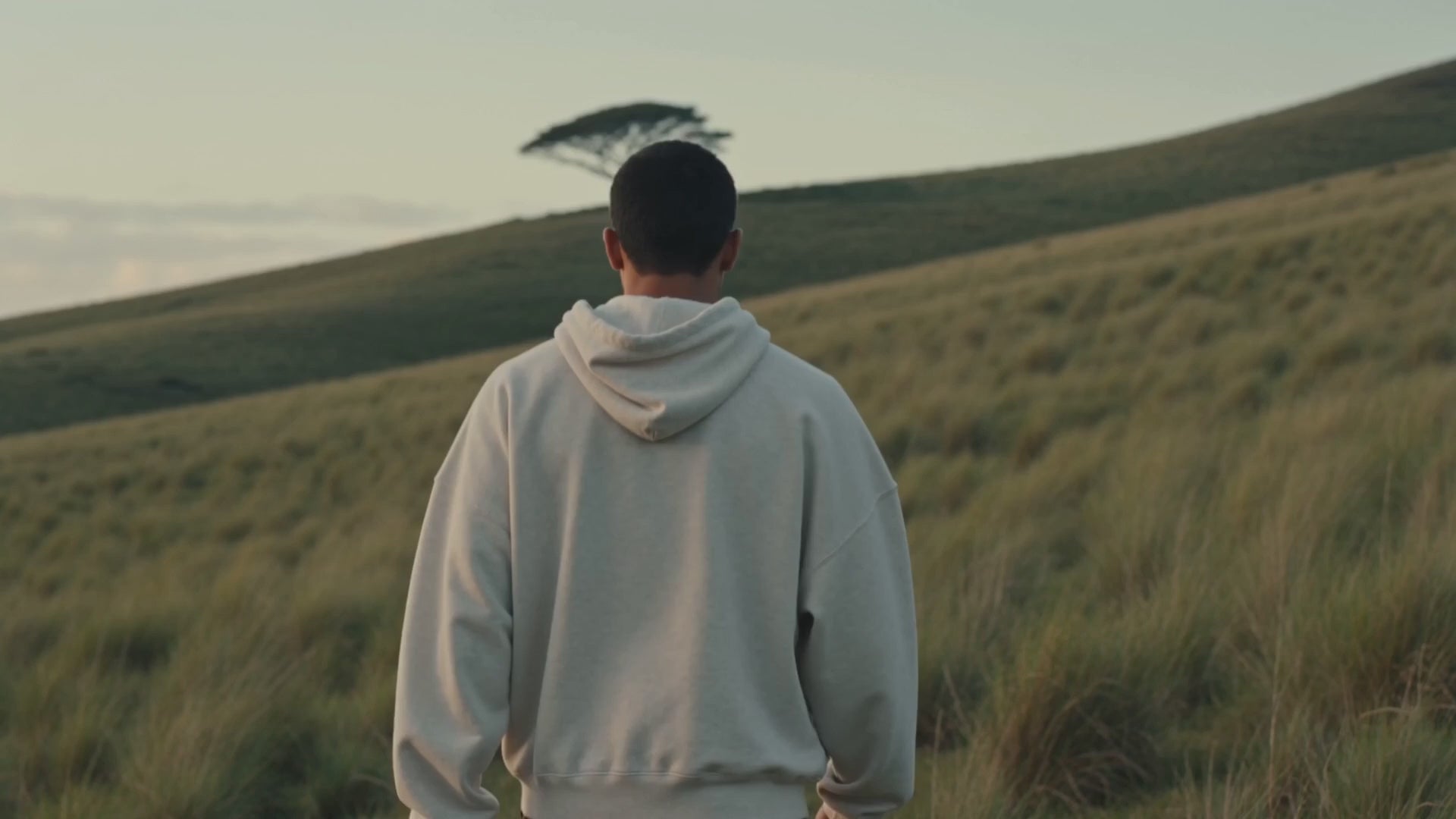 Editorial film recipe — output